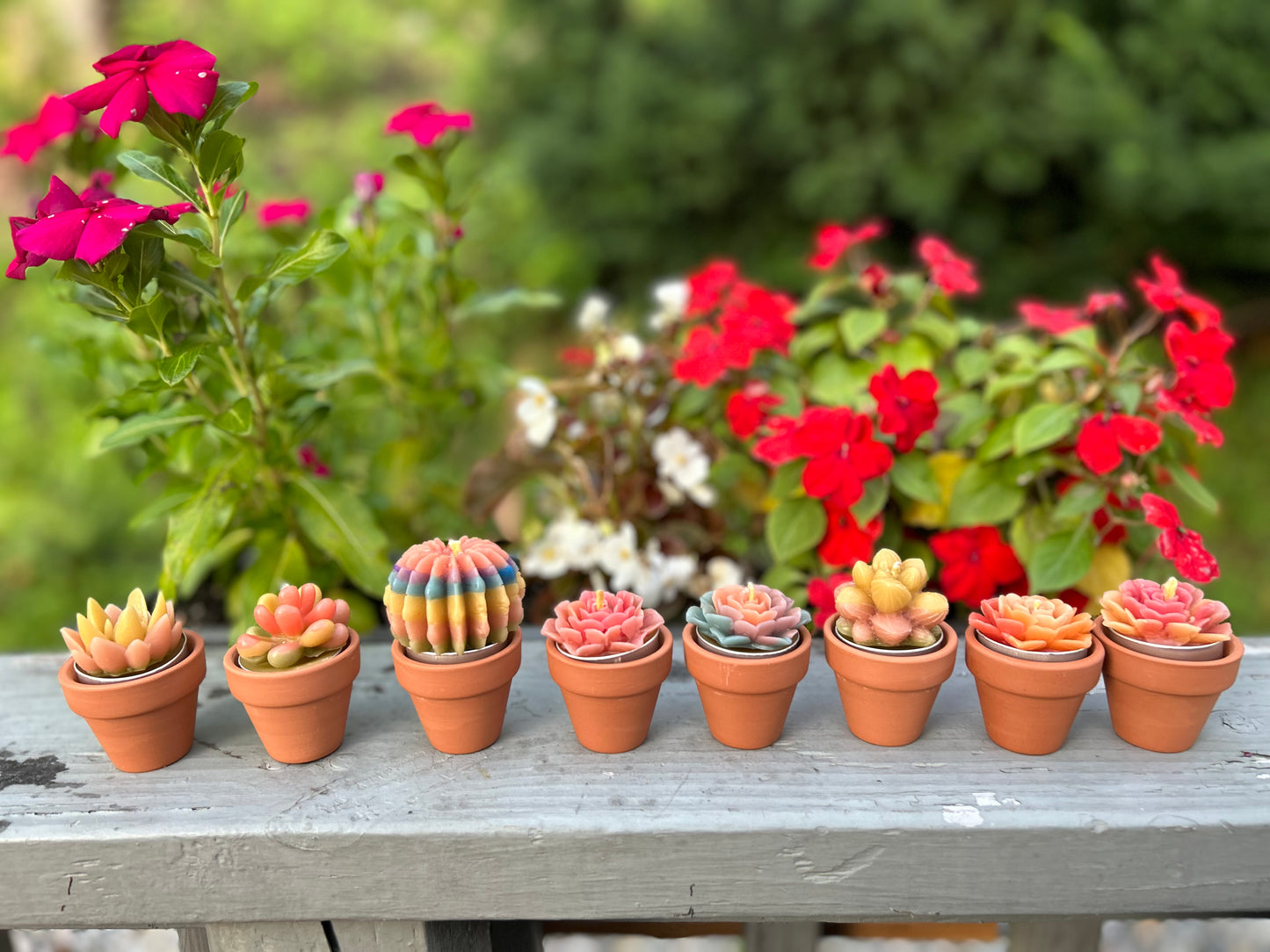 kiwico mini clay succulents Mini Succulents – Rose Wick Creations LLC