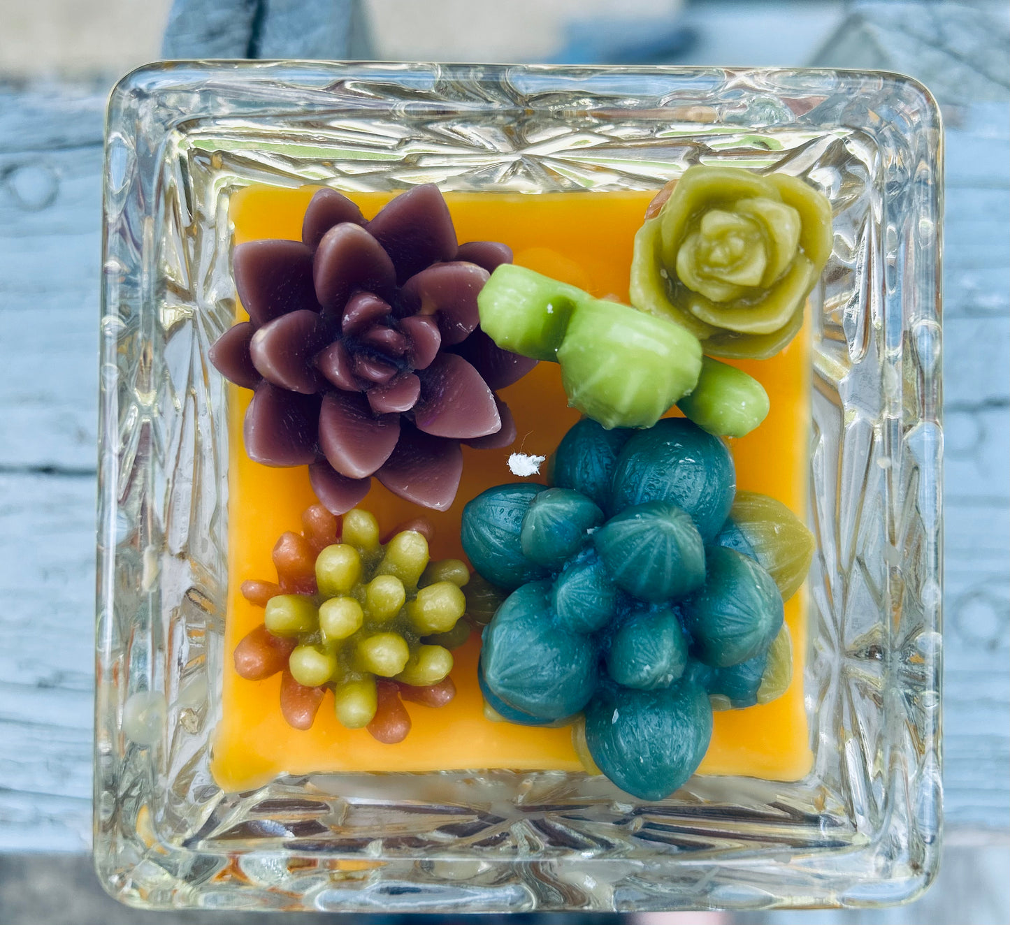 Succulent Candle Zesty Vibe (Lime, Lemon, Orange) cotton wick beeswax candles