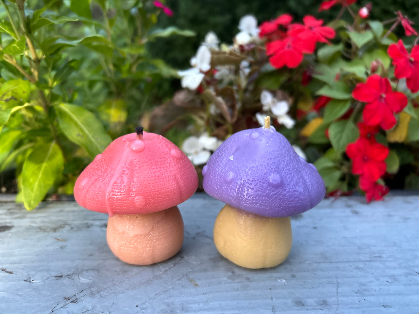 Mushroom Candles 4.87oz