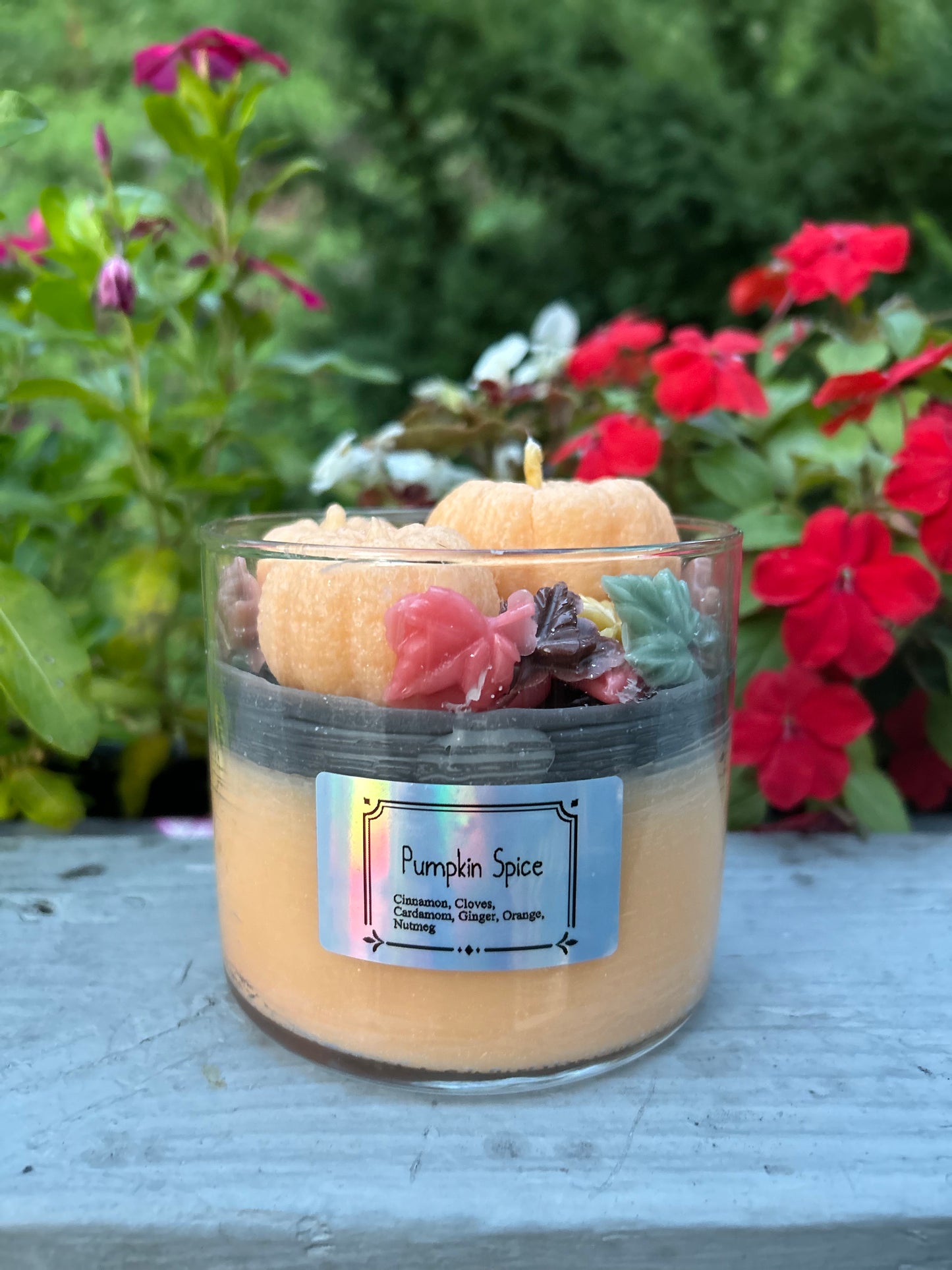 Pumpkin Patch (pumpkin spice) 16oz candle (1 of 1)