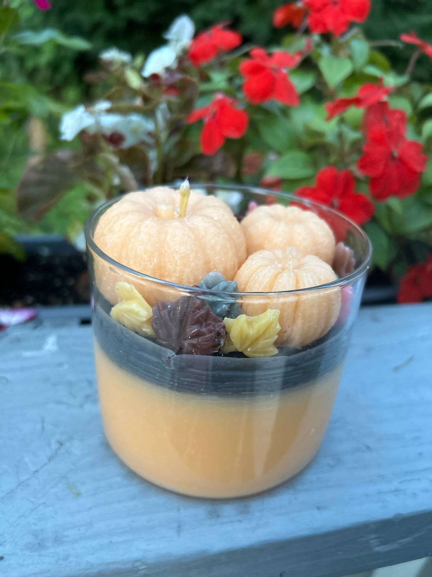 Pumpkin Patch (pumpkin spice) 16oz candle (1 of 1)